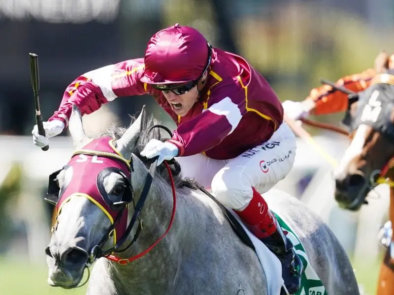 Craig Williams rides Blazejowski to victory in race 5 at Flemington