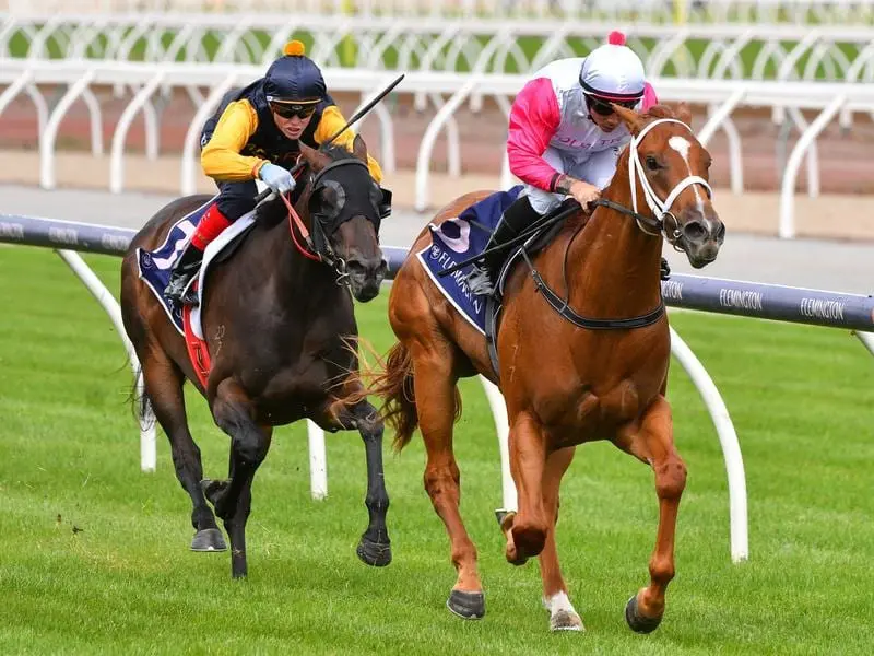 Dean Holland has ridden Aquagirl to give the country riders a perfect start to Rapid Racing. aquagirl