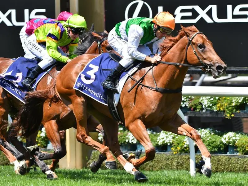 Damien Oliver rides Ilovemyself to victory in race 3 at Flemington