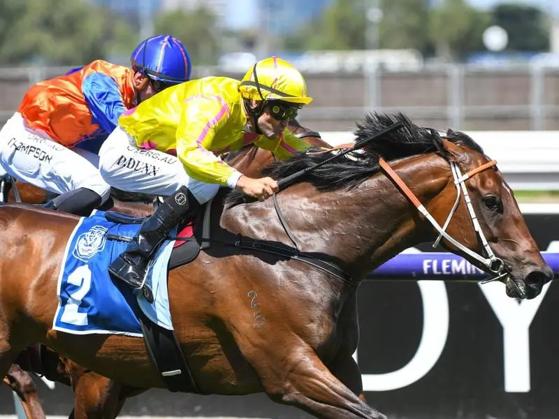 Dwayne Dunn rides Sylvia's Mother to victory in race 4 at Flemington