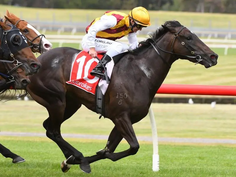 Pretty Brazen is ready for her race return in The Vanity with the All-Star Mile on her radar. pretty brazen