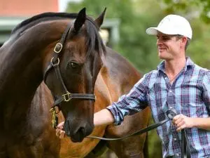 Black Caviar