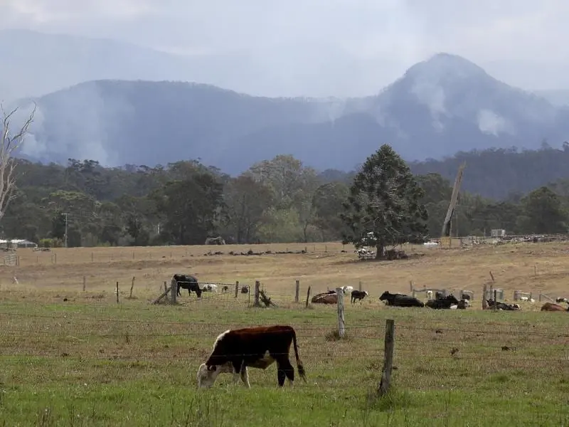 moruya