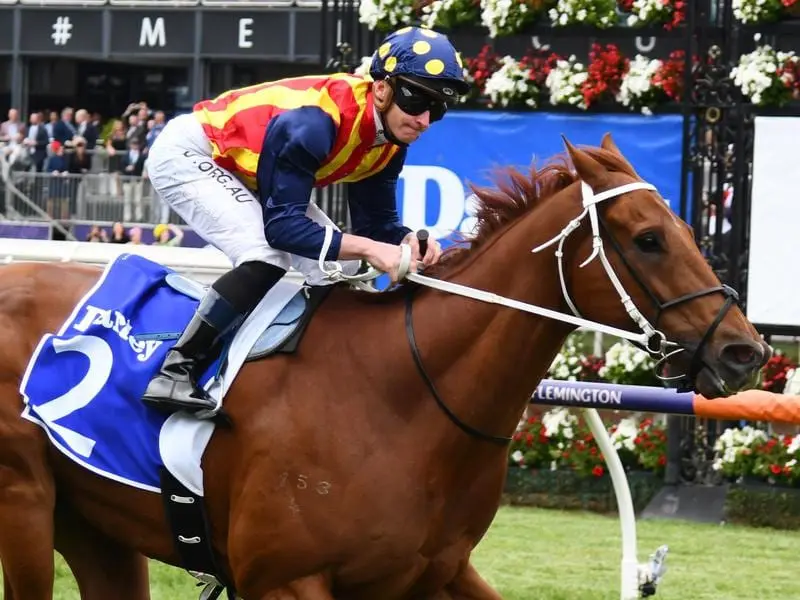 James McDonald rides Nature Strip to victory at Flemington