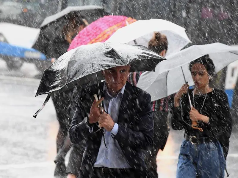 sydney rain