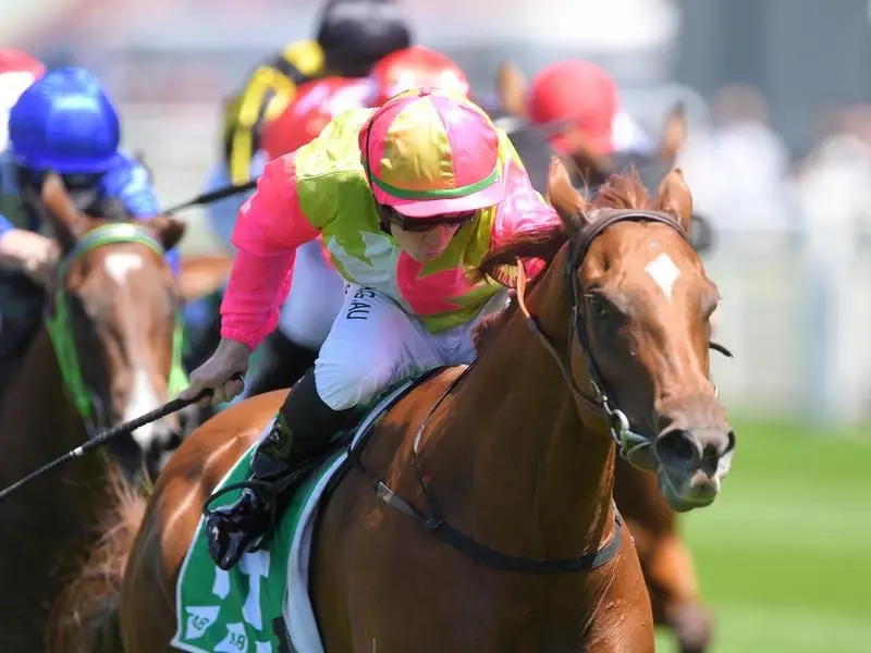 Look Only produced a powerful finish under Brock Ryan to win the Highway Handicap at Randwick. Brock Ryan rides Look Only to victory in the Highway Handicap