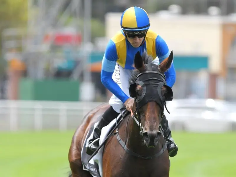 She's Ideel after winning at Randwick.
