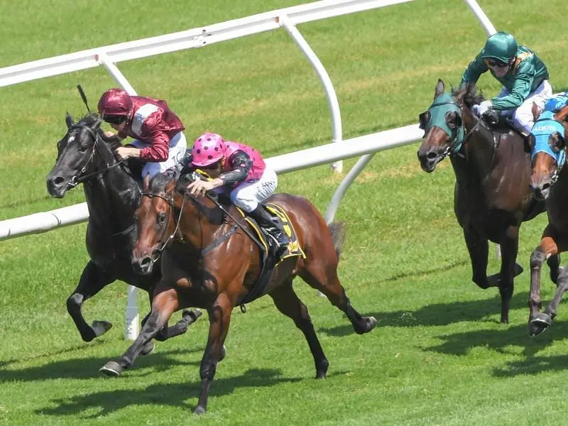 Blake Shinn rides Mamaragan to victory in race 3 at Randwick