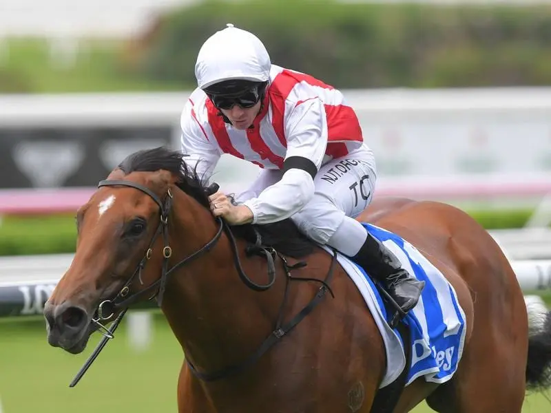 Supreme Idea wins the Lonhro Plate at Randwick.