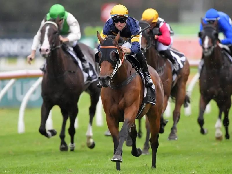 Master Of Wine wins at Rosehill.