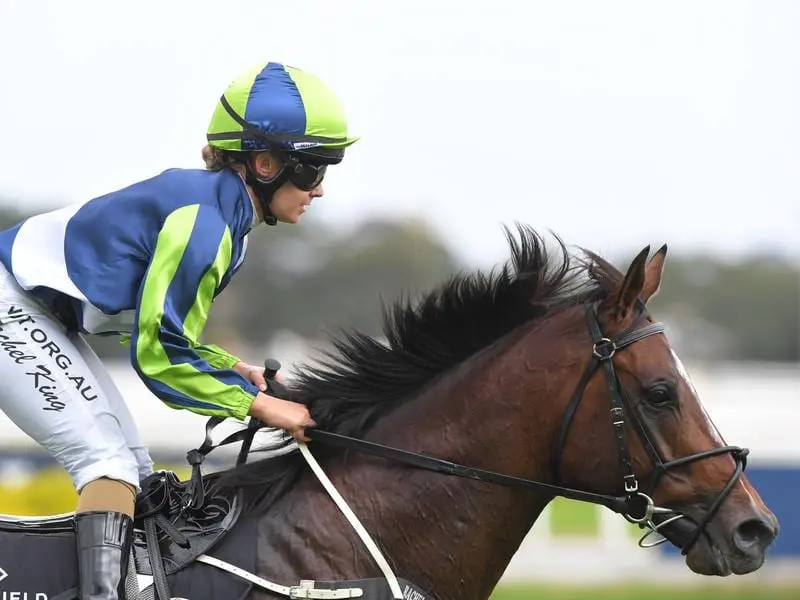 Hobartville Stakes winner Brandenburg returns to scale.