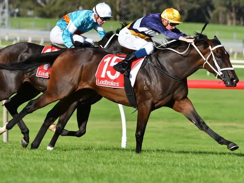 Rich Hips wins at Sandown.