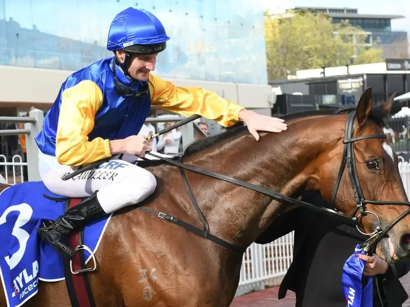 Jockey Brad Rawiller and his All-Star Mile mount Black Heart Bart.