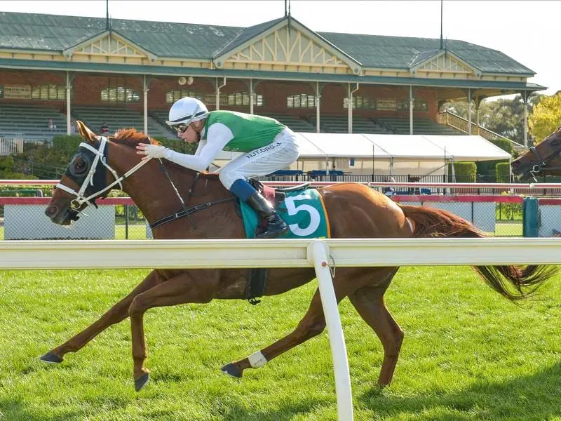 Hellova Street wins the Golden Mile at Bendigo.