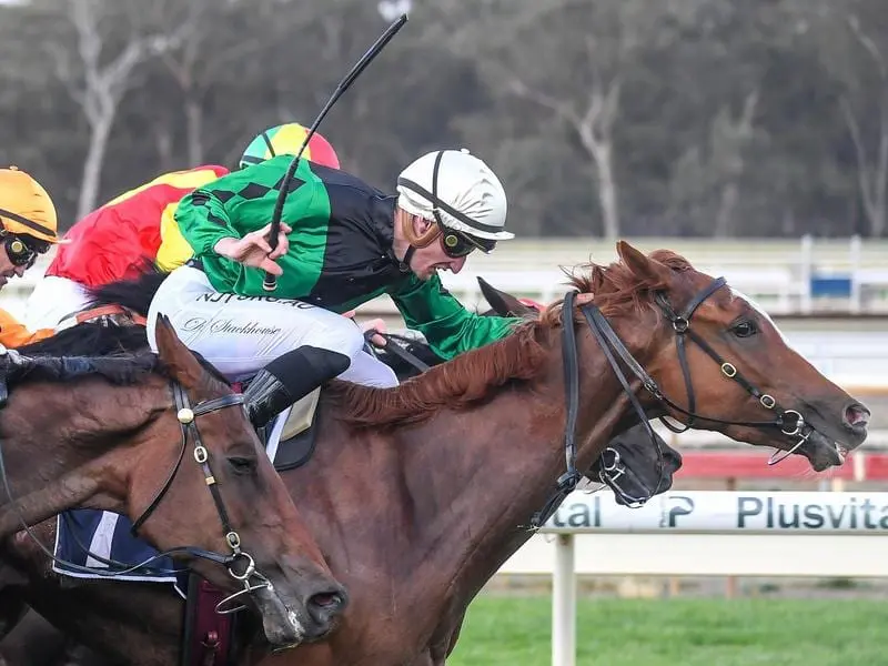 Riddle Me That wins the Bendigo Guineas.