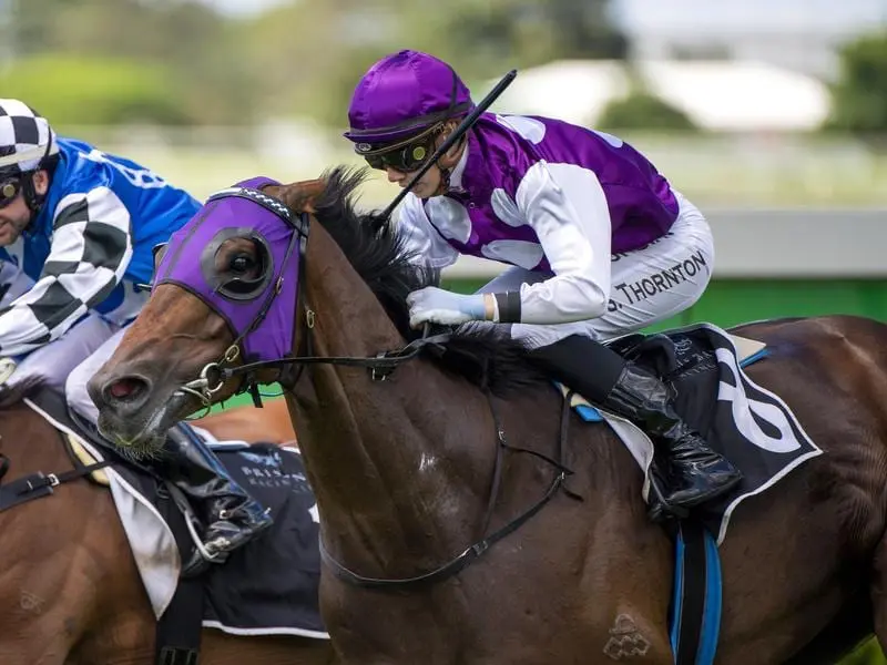 Eric The Eel wins at Doomben.