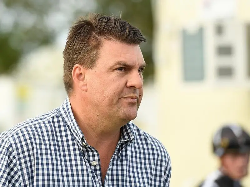 Trainer Chris Anderson has aborted plans to take Profit to Sydney and will keep him in Brisbane. chris anderson