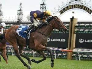 Tofane gets another Group 1 chance in Galaxy Tofane
