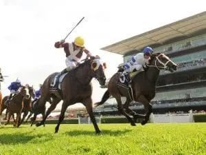 Waller’s host of chances for 7th Doncaster Kolding