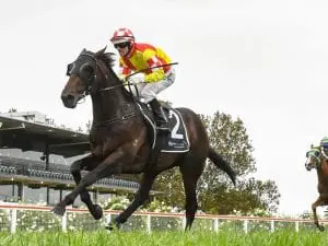 Glenfiddich to chase Sydney autumn riches Glenfiddich
