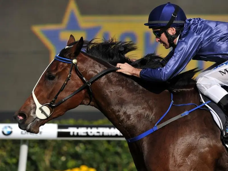 Multiple Group One winner Atlantic Jewel has produced a Derby contender in Ireland. atlantic jewel
