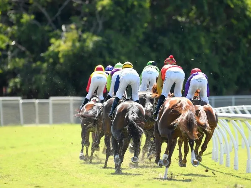 Queensland jockeys will have to choose a region to ride in during the coronavirus pandemic. queensland jockeys