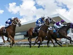 New prize money levels for Qld racing Racing Qld