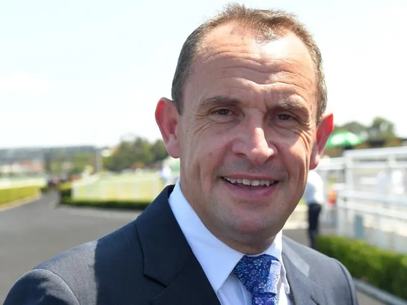 Trainer Chris Waller will put blinkers on Golden Slipper contender Global Quest in the Todman. chris waller