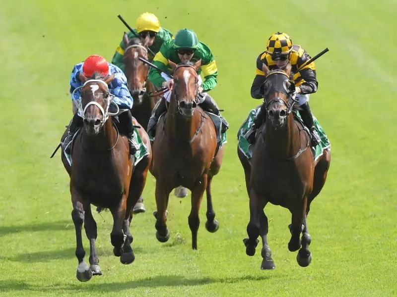Probabeel (right) will not run in the Coolmore and will take on Funstar (l) again at Rosehill. probabeel (right)