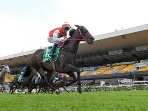 Big entries for Rosehill races Rosehill racing