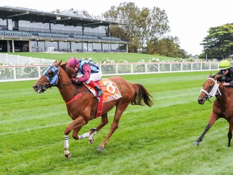 spectator-free racing at mornington