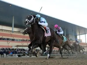 New York racetrack turned into hospital Aqueduct racecourse