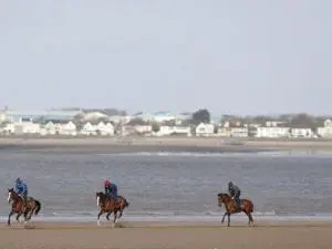 British horses to keep exercising