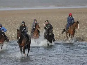 Beckett believes racing can work to return Trainers in Britain