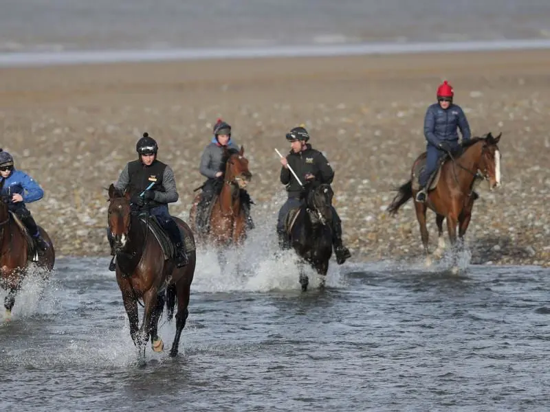 training britain