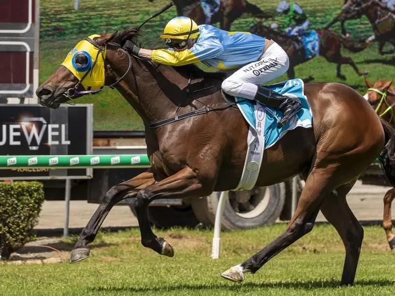 McCormick wins at the Gold Coast.