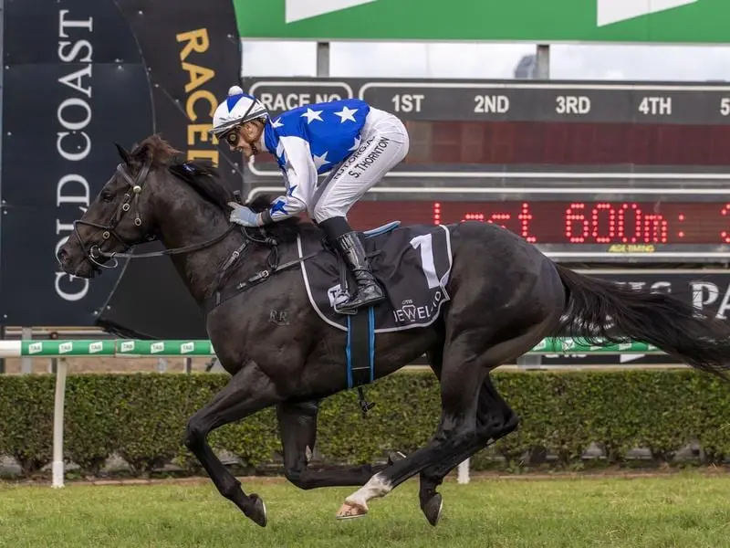 The Odyssey wins the Jewel 3YO at the Gold Coast.