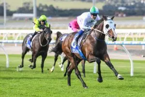 Kentucky Equine Research Maiden Plate Master Montaro