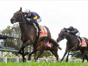 Aktau gains Caulfield ticket at Mornington Aktau