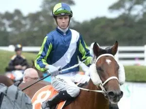 Chuck A Luck takes out Mornington Guineas Chuck A Luck