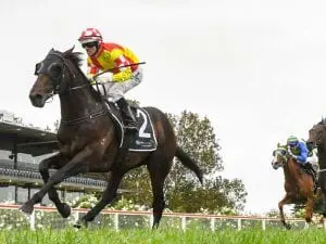Griffiths eyes Sydney Group 1’s for Glenfiddich Glenfiddich