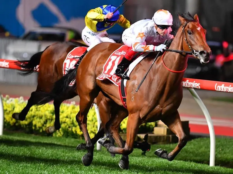 Loving Gaby is among a stellar cast of three-year-olds to contest the Group One Newmarket Handicap. Loving Gaby wins the Manikato Stakes.