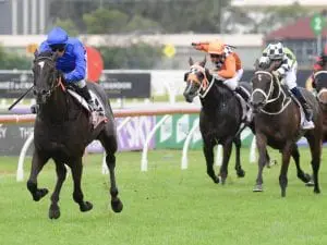 Avilius chasing second Ranvet Stakes win Avilius
