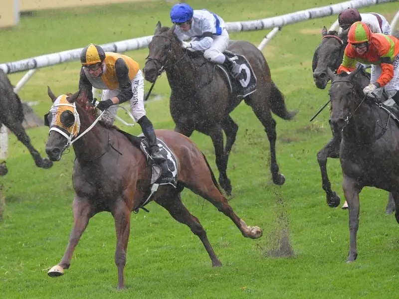 Star Of The Seas has revelled in a deteriorating track to claim the McCarten Stakes at Rosehill. Star Of The Seas wins at Rosehill.