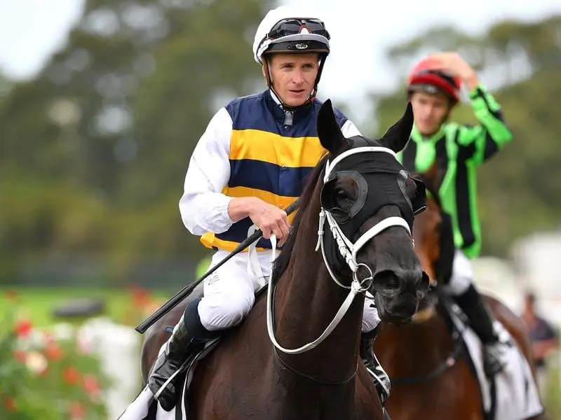 Night's Watch after winning the Neville Sellwood Stakes.