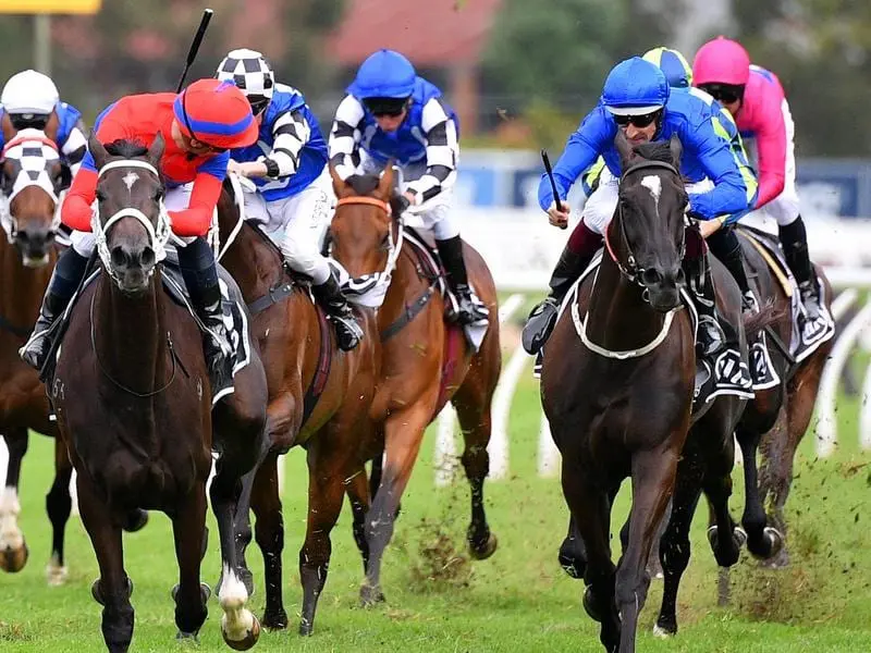 Hugh Bowman (right) has been suspended after he stopped riding his Tancred Stakes mount Avilius. The finish to the 2020 Tancred Stakes.