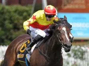 California Zimbol wins Darby Munro Stakes California Zimbol