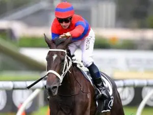 All roads lead to 2021 Cox Plate for Verry Elleegant Verry Elleegant