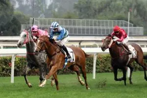 Yiu’s looking to Voyage Warrior for a Group 1 topping Voyage Warrior