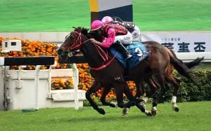 Waikuku looks to bounce back against Beauty Generation Waikuku